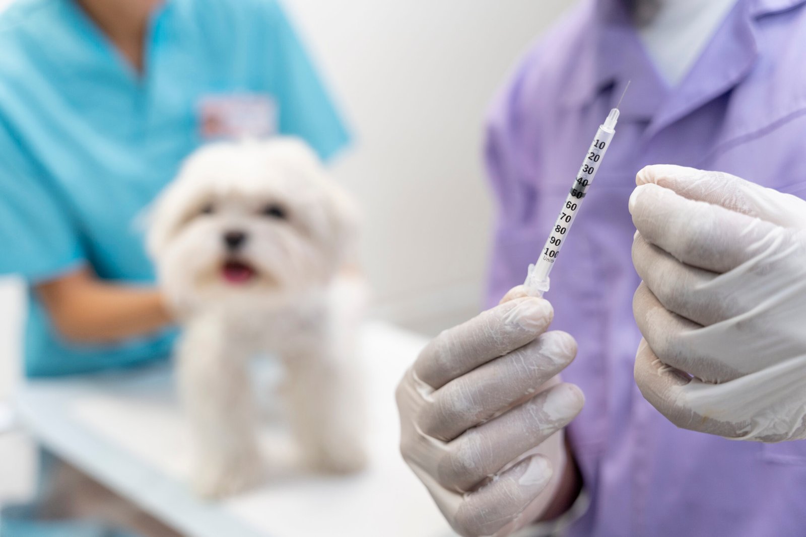 Vaccinations for Pets