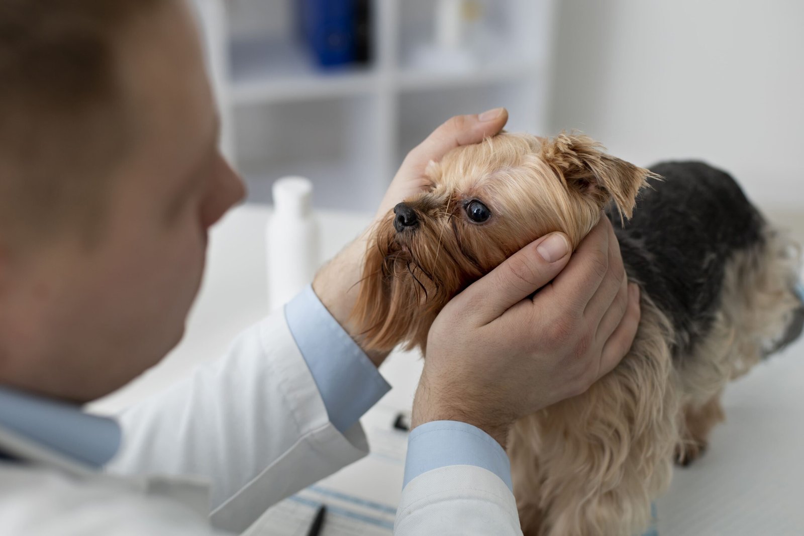Pet eye health