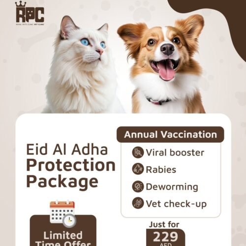 Eid Al Adha Protection Package