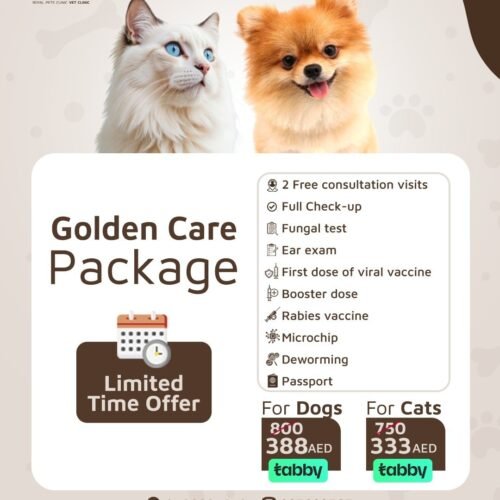Golden Care Package