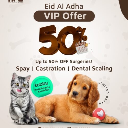 Eid Al Adha VIP Offer