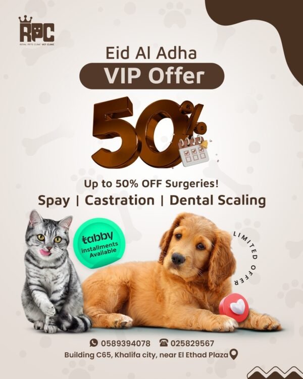WhatsApp Image 2025-05-17 at 14.30.08_eed3fdcd Eid Al Adha VIP Offer