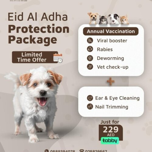 Protection Package