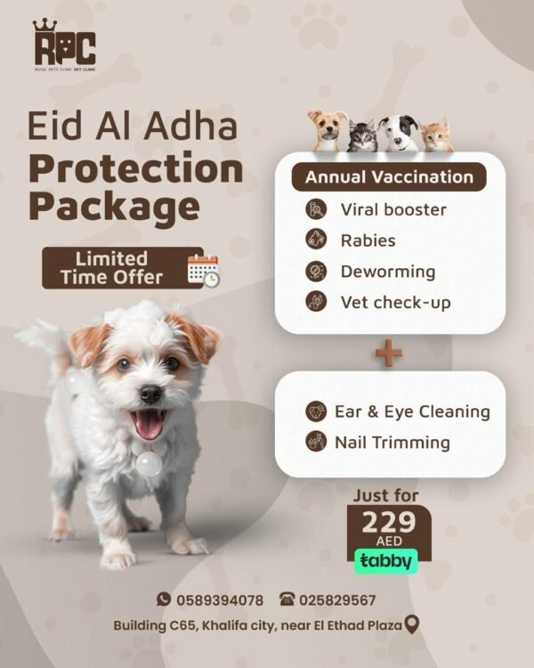 WhatsApp Image 2025-05-17 at 4.58.19 PM Protection Package