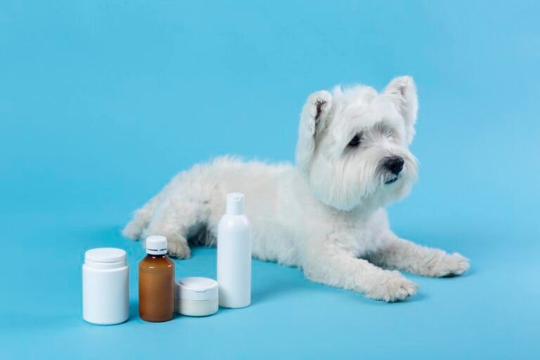 supplements for pets