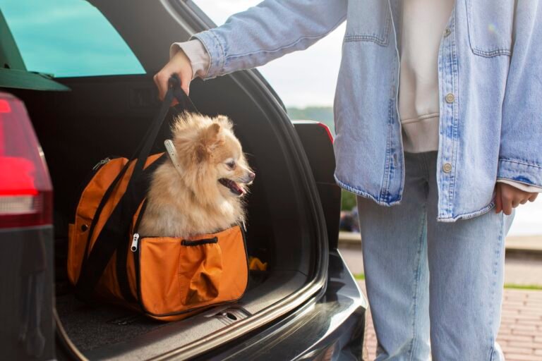 traveling with pets tips