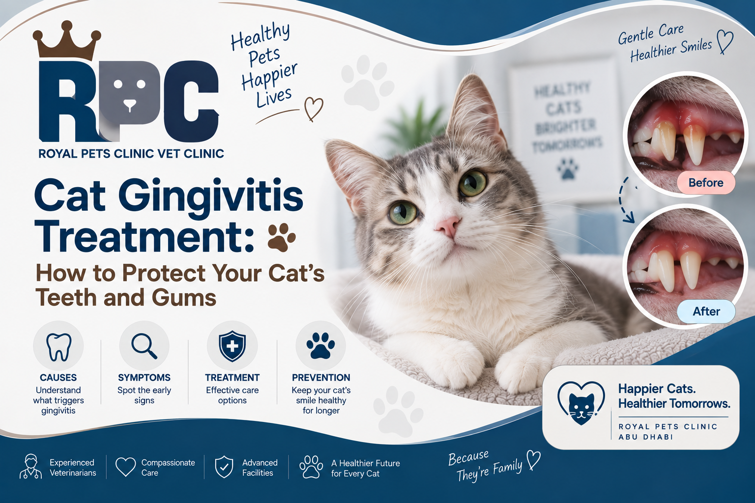 cat gingivitis treatment