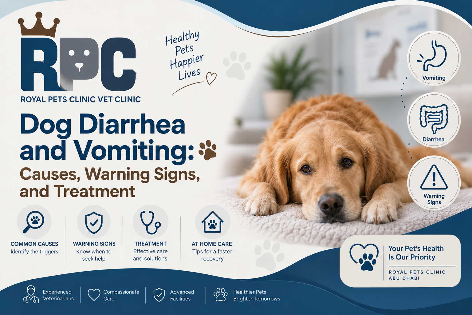 dog diarrhea and vomiting
