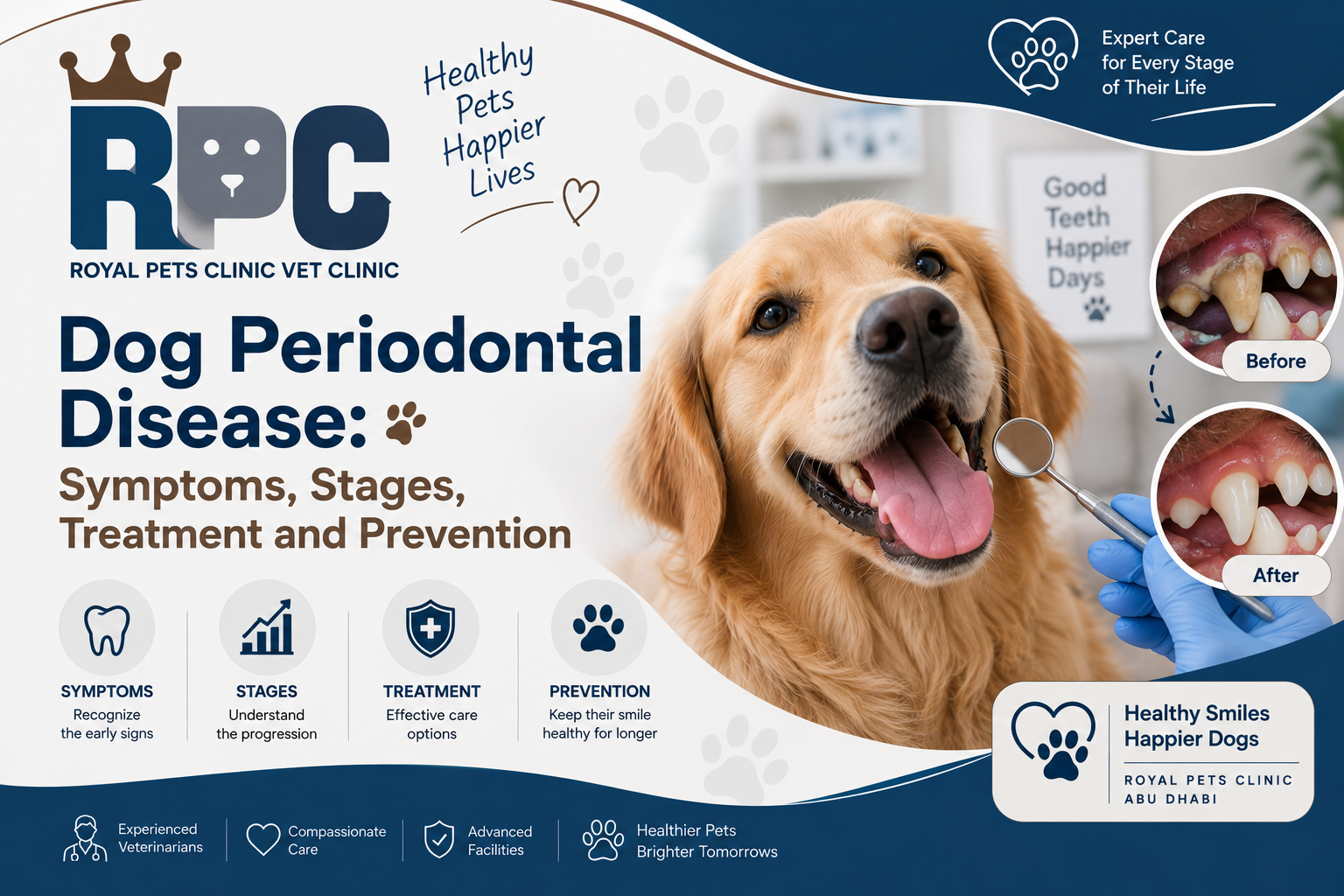 dog periodontal disease