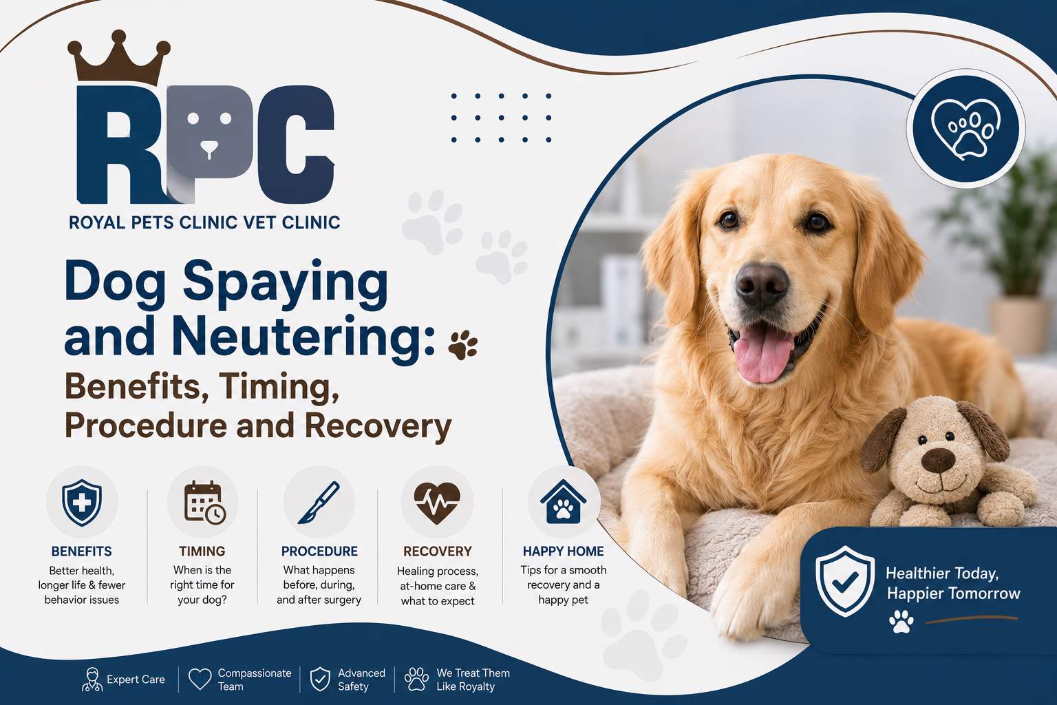 dog spaying and neutering